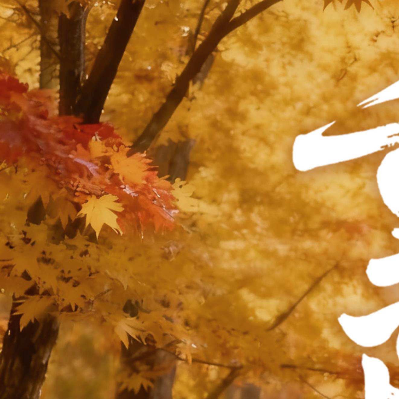 重阳节｜年年逢重阳，岁岁皆安康！